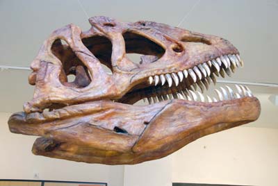 Museo de Dinosaurios de Salas de los Infantes