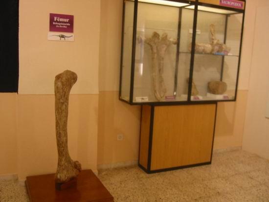 Fotografía de la galería de imágenes con id: 868