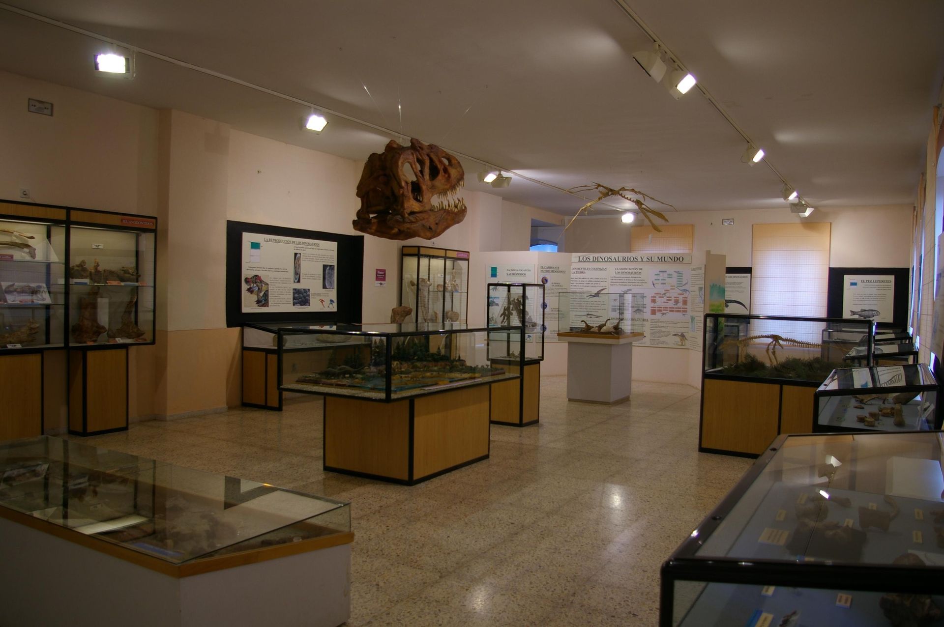 Fotografía de la galería de imágenes con id: 871